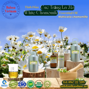 Tinh Dầu Cúc Trắng La Mã  - Chamomile White Essential Oil 1 lít