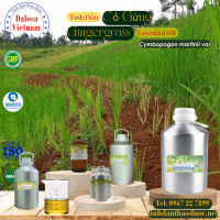 tinh-dau-co-gung-ginger-grass-essential-oil-1-lit - ảnh nhỏ  1