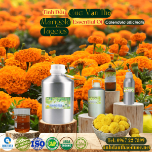 Tinh Dầu Cúc Vạn Thọ - Marigold Essential Oil 1 lít