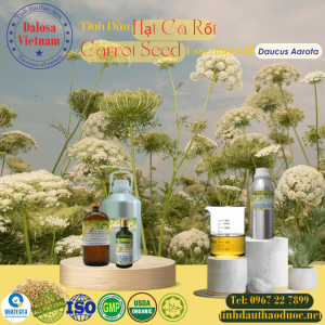 Tinh Dầu Hạt Cà Rốt - Carrot Essential Oil 1 lít