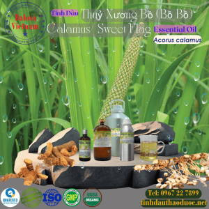 Tinh Dầu Thuỷ Xương Bồ - Calamus Essential Oil 1 lít