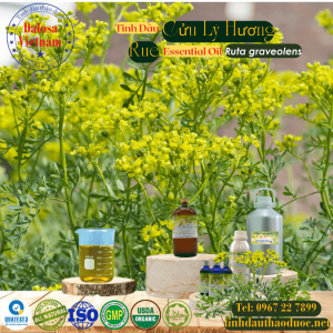 Tinh Dầu Cửu Lý Hương - Rue Essential Oil 1 lít