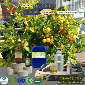 Tinh Dấu Tắc - Quất - Kumquat Essential Oil 1 lít