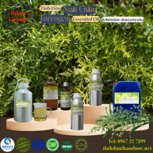 Tinh Dầu Ngải Giấm - Tarragon Essential Oil 1 lít