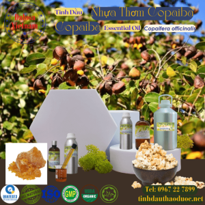 Tinh Dầu Nhựa Thơm - Copaiba Essential Oil 1 lít