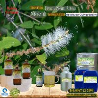tinh-dau-tram-nam-gan-niaouli-essential-oil-1-lit - ảnh nhỏ  1