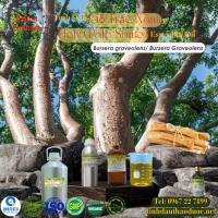 tinh-dau-go-trac-xanh-holy-wood-palo-santo-essential-oil-1-lit - ảnh nhỏ  1
