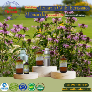 Tinh Dầu Monarda  - Monarda Essential Oil 1 Lít