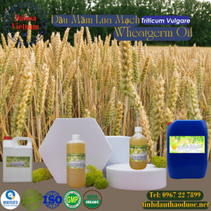 Dầu Mầm Lúa Mạch - Wheatgerm Oil 1 Lít