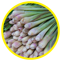 Tinh Dầu Sả: Diễn Giải, Phân Biệt Và Hướng Dẫn Tiêu Dùng