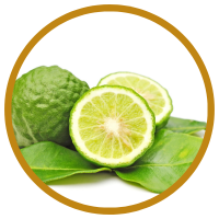 12 Lợi Ích Cho Sức Khỏe Của Tinh Dầu Chanh Sần - Lime