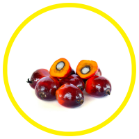 10 Lợi Ích Đối Với Sức Khỏe Của Tinh Dầu Cọ - Palm Oil