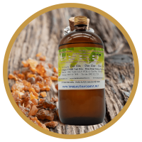 Danh Pháp Hai Phần - Tên La Tinh Và Luật Danh Pháp Thực Vật