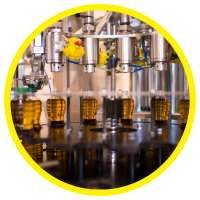 Nhóm Tinh Dầu Chăm Sóc, Kích Thích Và Hỗ Trợ Mọc Tóc